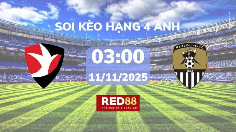 Soi kèo Cheltenham vs Notts County – 03h00 – 11/11 – Hạng 4 Anh